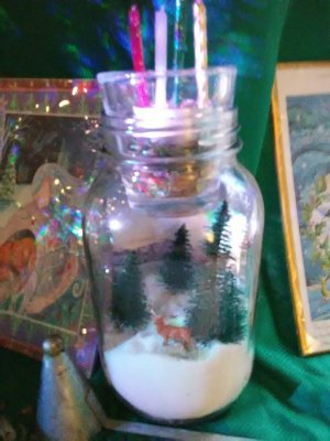 IMG_20211208_145055.jpg