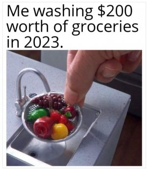 $200 Worth of Grocieries.jpg