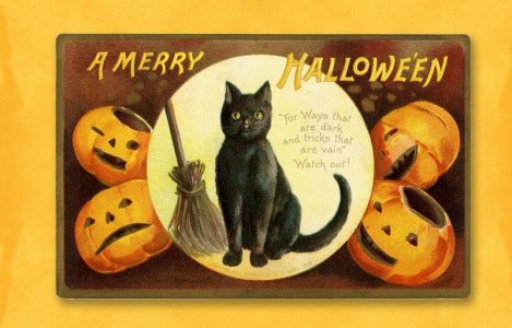 halloween-2829423_1280.jpg