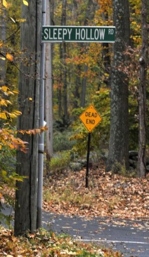 signs9.jpg