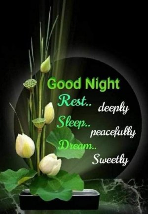 FB_IMG_1696657964782.jpg