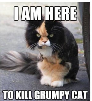 grumpy.jpg