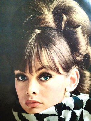 morn shrimpton.jpg