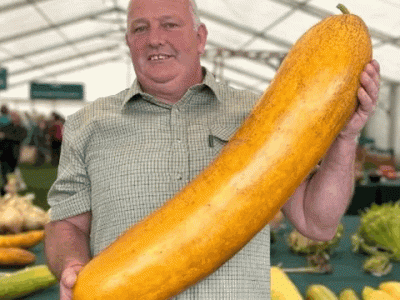 IMG_0094.gif IMG_0094.gif