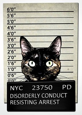 kitty-mugshot-nicklas-gustafsson.jpg