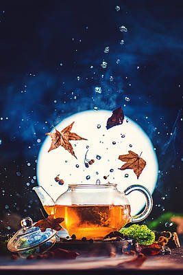 moonshine-tea-dina-belenko.jpg