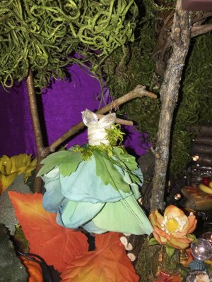 IMG_0921.jpeg
