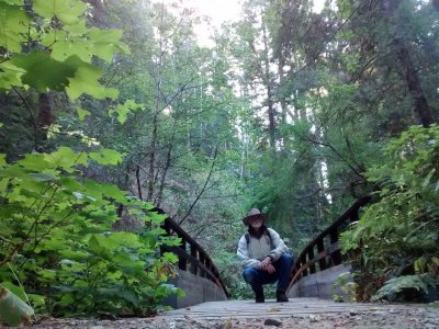 Fern Canyon Bridge.jpg