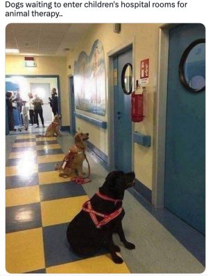 therapy.jpg