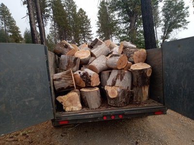 Oak for Robert.jpg