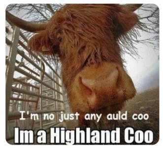 coo2.jpg