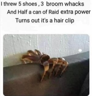 IMG_4867.jpeg