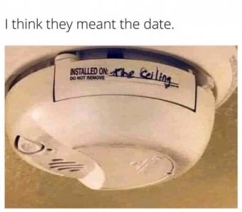 387827018_7452136628136506_2633819388791131003_n.jpg