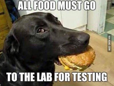 49F5BCD3-235D-404B-9479-43E4FE53C3B4.jpeg