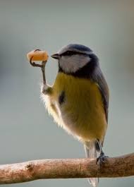 IMG_2676.jpeg