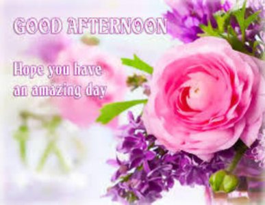 imageedit_1_5084737264.jpg