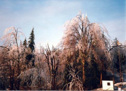 Icestorm1998Augusta009_zps50757d61.jpg