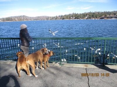 IMG_5125.JPG
