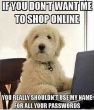 A5A7E235-1C9D-4D97-BE7F-8CD845854E9A.jpeg