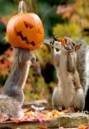 halloween3.jpg