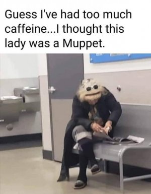 IMG_4931.jpeg