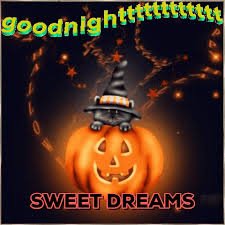 IMG_4945.jpeg