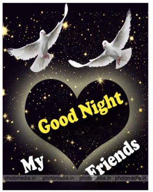 Good Night birds.jpg