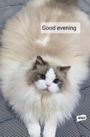 FB_IMG_1697030029243.jpg