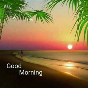 IMG_4946.jpeg
