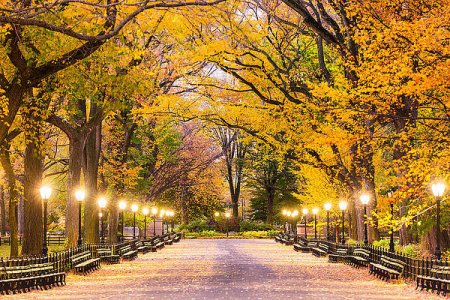 2-central-park-at-the-mall-in-new-york-sean-pavone.jpg