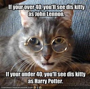 cattitude1.jpg