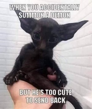 1f5b7d7c900b17cb8fe176e286a17ad7.jpg