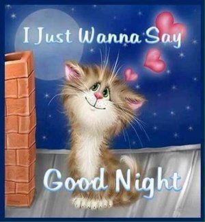 FB_IMG_1697234128766.jpg