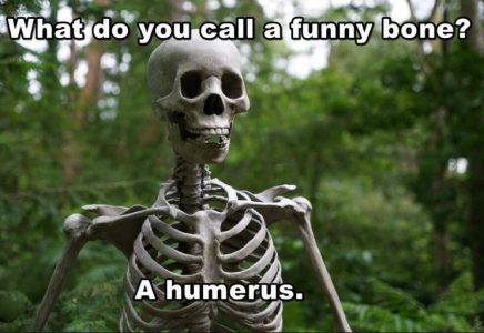 aa.JPG