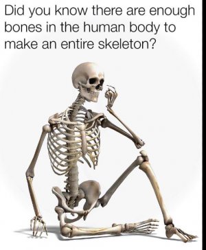 bbb.JPG