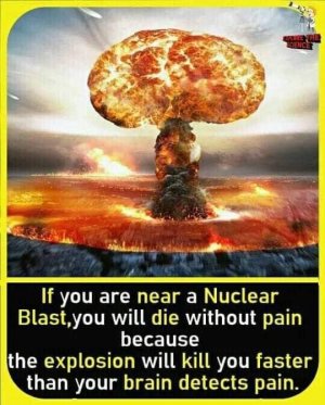377504823_282468494543645_5963176296838787032_n.jpg