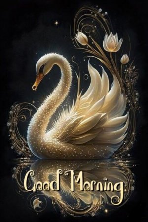 Good morning (1)~2.jpeg