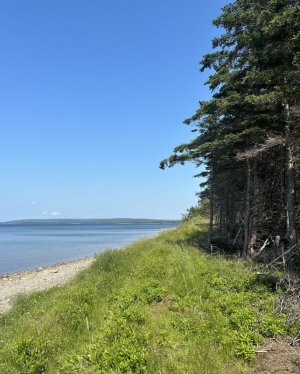 IMG_0550.jpeg