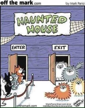 FB_IMG_1697326554002.jpg