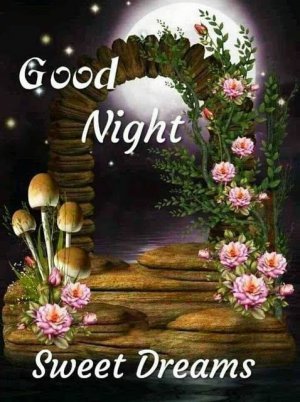 367708-Full-Moon-Good-Night-Sweet-Dreams.jpg