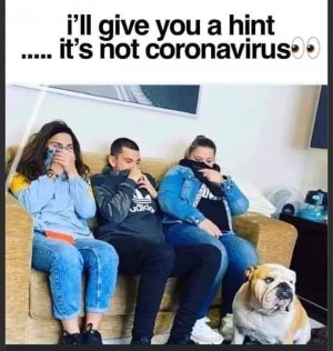 IMG_4965.jpeg