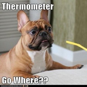 69D376C8-BD54-49AF-9E1A-4BF7091173BD.jpeg
