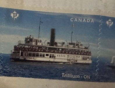 IMG_2731.jpeg IMG_2731.jpeg