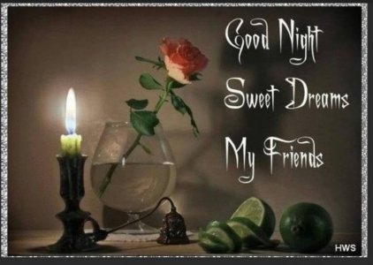 Good night rose.jpg