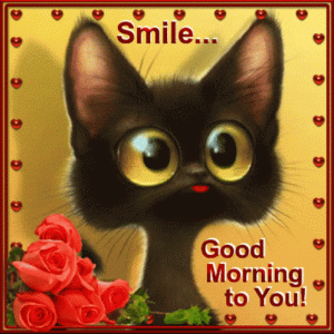 received_322331513633338.gif
