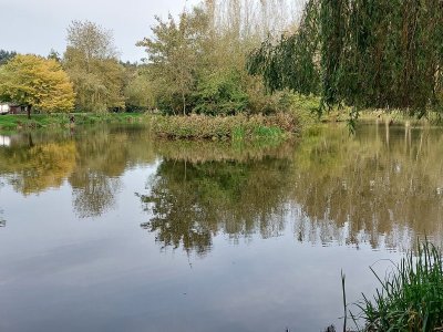 20231010_144225.jpg