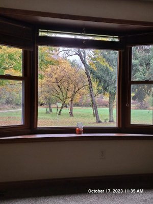 20231017_113515.jpg 20231017_113515.jpg