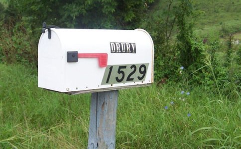 Number 1529 @.jpg