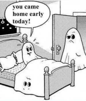 FB_IMG_1697559231317.jpg