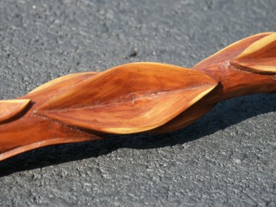 101723willow.jpg